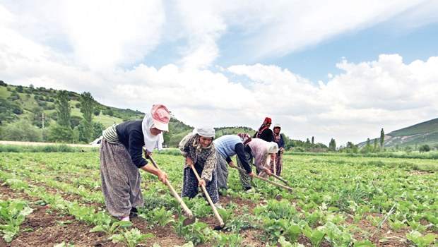 1.9 milyon kadın çiftçiye eğitim desteği verildi