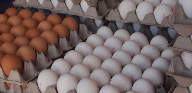 Yumurta fiyatları eylülde yüzde 15 zamlandı