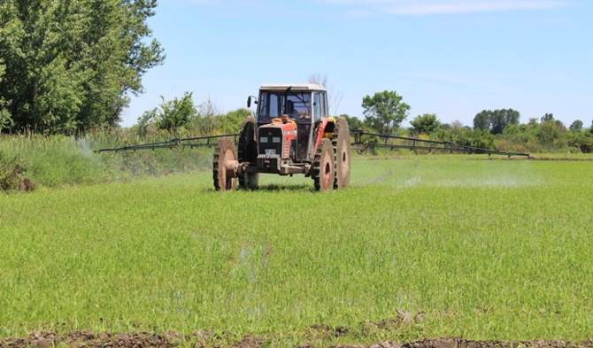 Tarımda üretici fiyatları yüzde 0,52 arttı