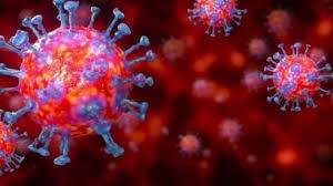 Türkiye'de koronavirüsten can kaybı 3 bin 174'e yükseldi