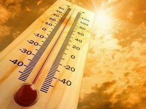 2014 tarihin en sıcak yılı olabilir !
