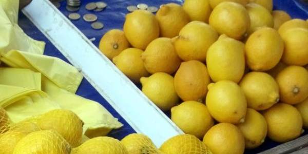 Limon fiyatı rekora koşuyor