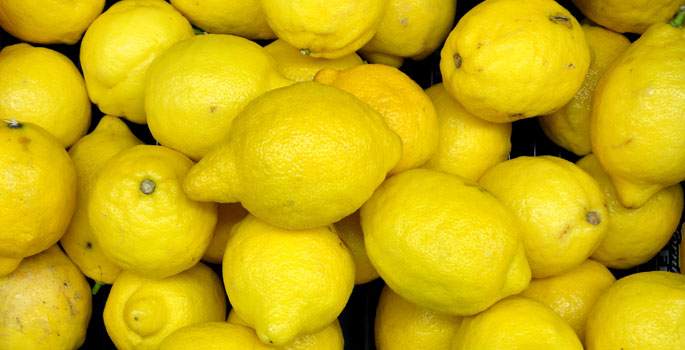 'Limon fiyatları artacak'