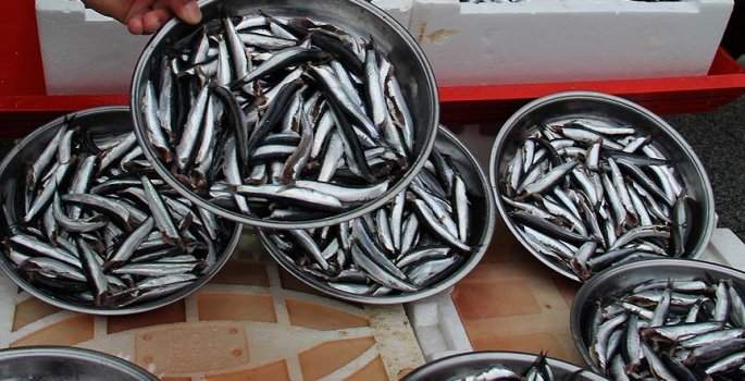Balık fiyatları yüzde 150 zamlandı