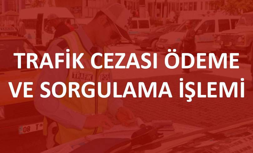 Araç Vergi Borç Sorgulama Egm  - Ve Bunu Araç Vergi Borcu Sorgulama Plaka Işlemine Giriş Yapıp Sorgulayabilmeniz Mümkün Olacaktır.
