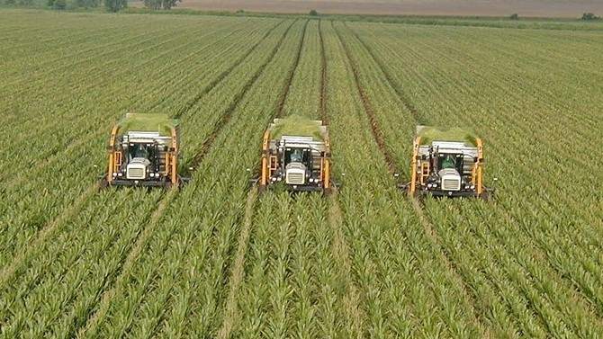Tarım-ÜFE ekimde yüzde 1,78 arttı