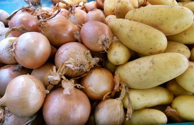 Patates ve soğan ihracatı izne bağlandı