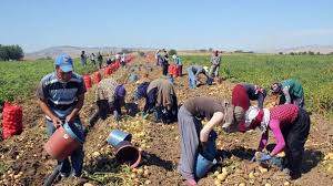 İyi ve organik tarım uygulamalarına 'mücbir sebep' düzenlemesi