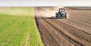 Tarım ÜFE, haziranda yüzde 14.5 arttı
