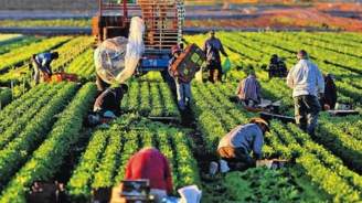 Tarıma dayalı ekonomik yatırımlara yüzde 50 hibe desteği