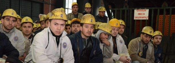 Madende çalışmaya 3 bin kişi başvurdu
